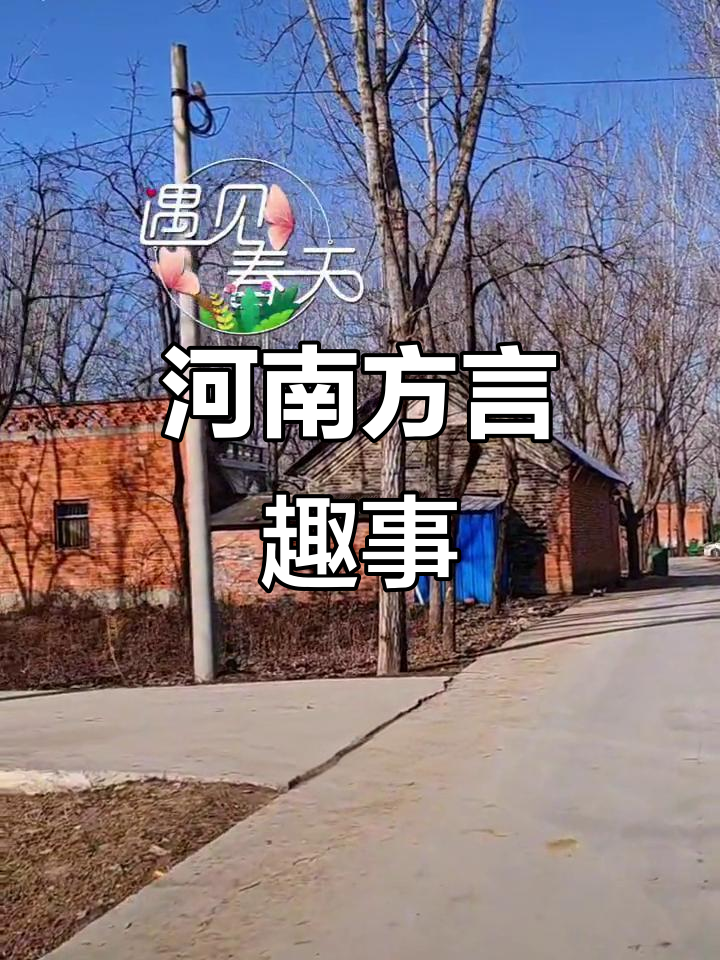 河南方言趣谈:逛街叫赶集,饺子称扁食,老乡们懂吗?