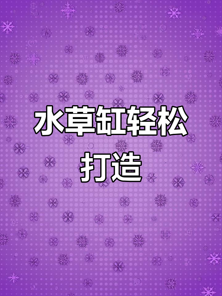 小鱼缸里的水草世界,简单又美观!