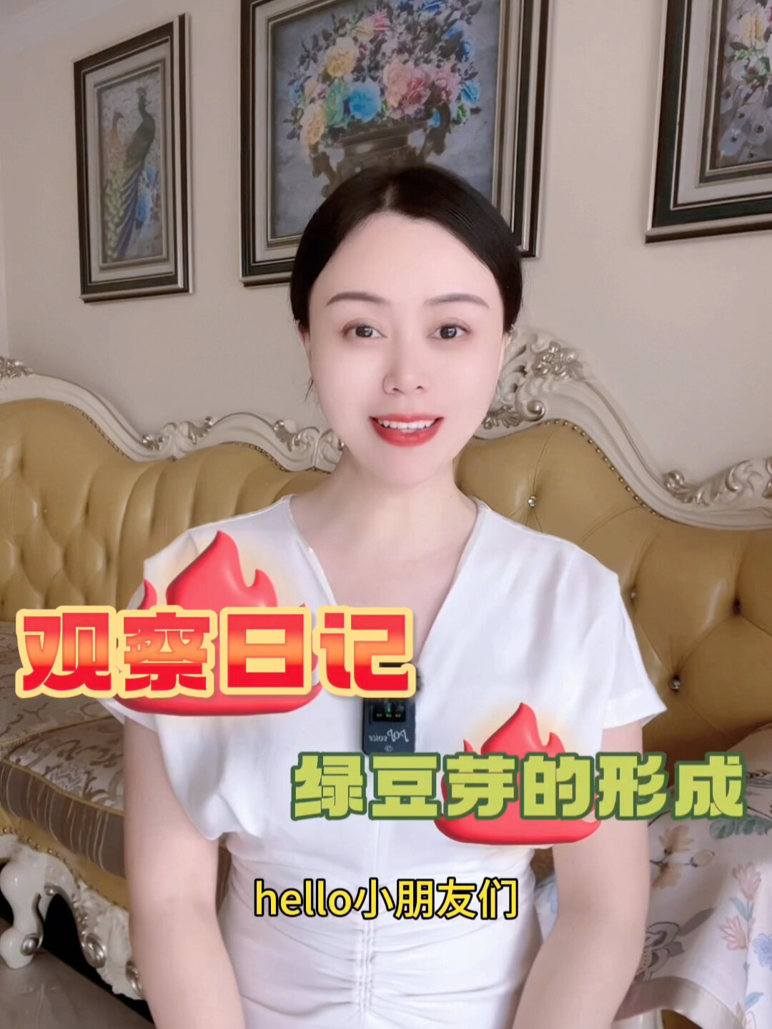 观察日记绿豆芽的形成