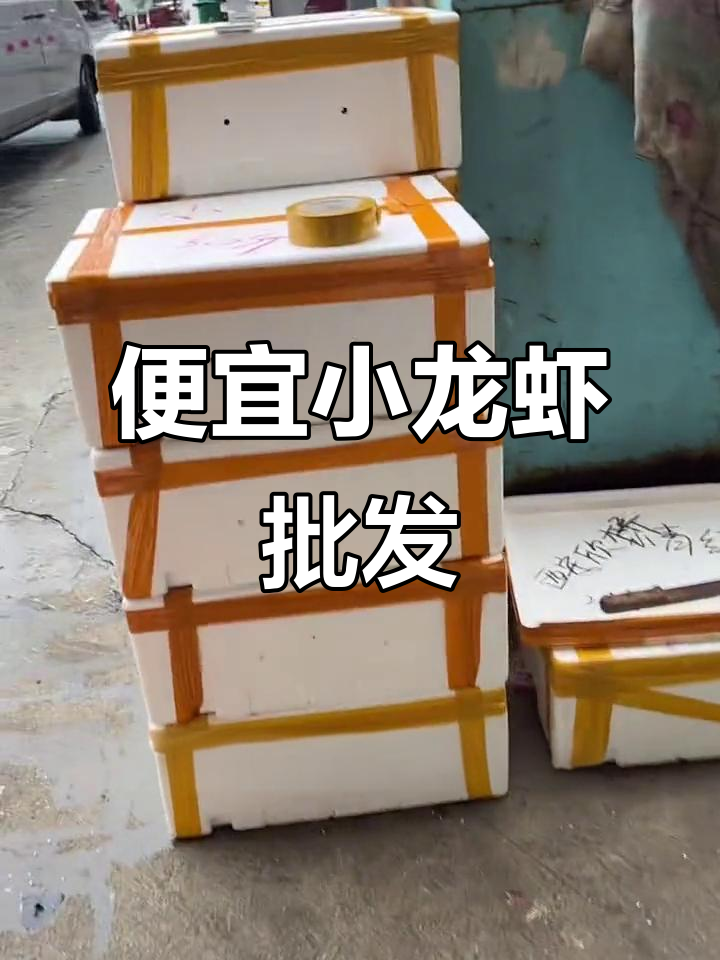 小龙虾批发市场惊爆价,七块就能买到小青虾!