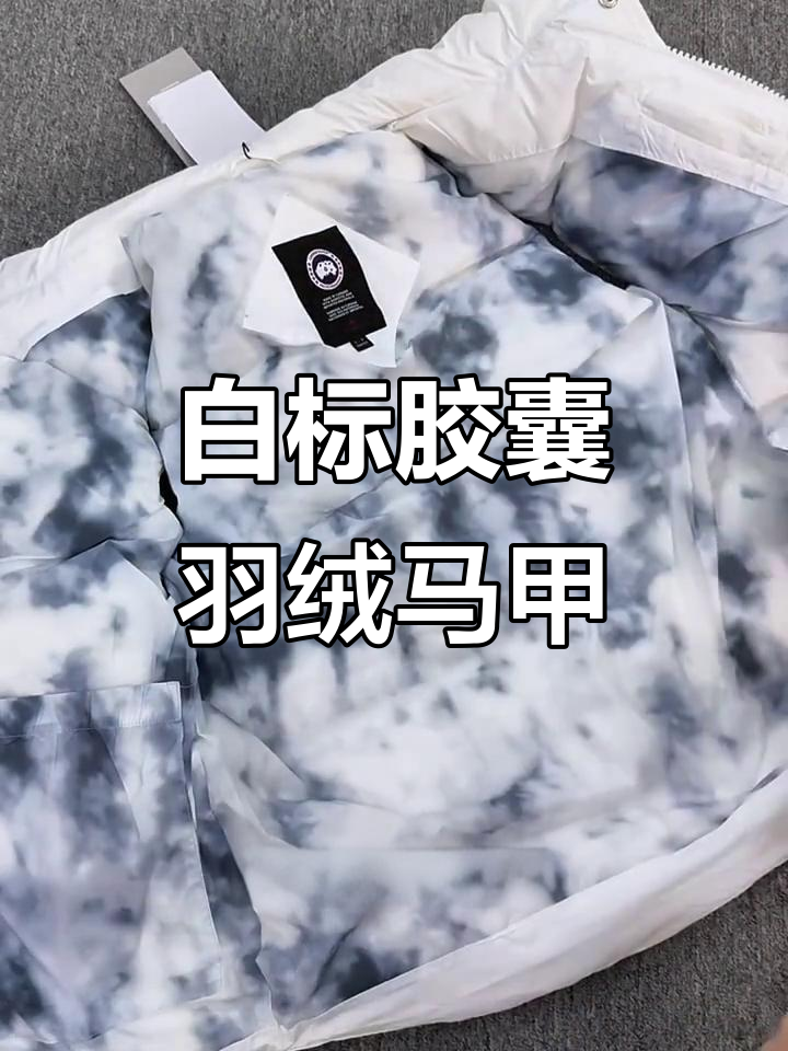 加拿大鹅白标胶囊羽绒马甲：纯白色立领设计，细节满分