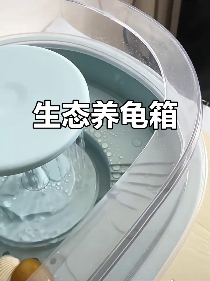 乌龟缸,水循环、晒台一体,生态造景分离便便