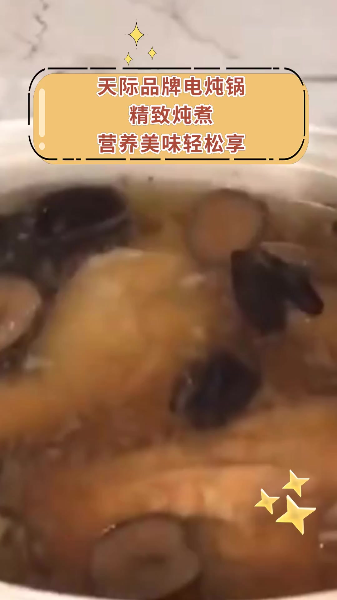 天际品牌电炖锅 精致炖煮 营养美味轻松享