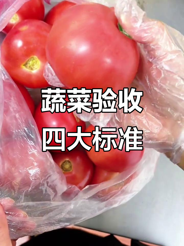 蔬菜验收全流程揭秘:质量、外观、口感一网打尽
