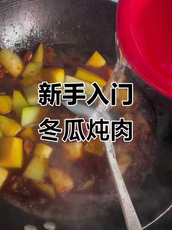 简单家常冬瓜炖肉,新手必学美味小炒