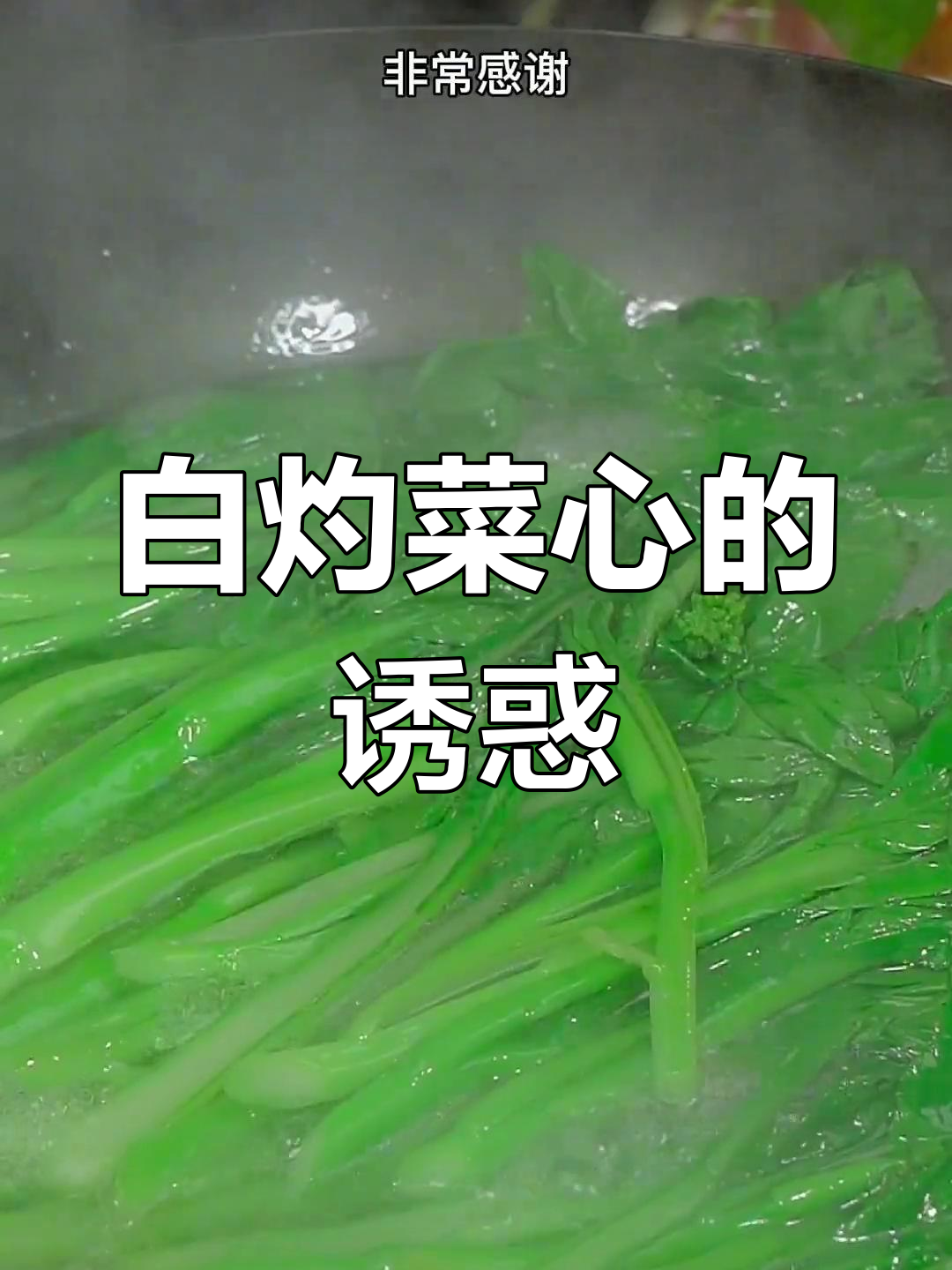 嫩绿菜心,白灼更美味,清爽不腻,简单又好吃!