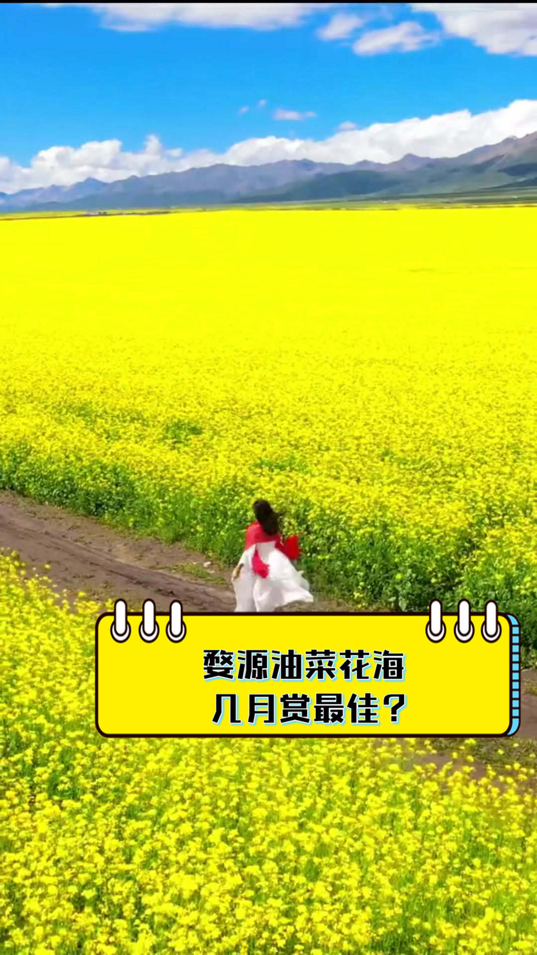 婺源油菜花海,几月赏最佳?