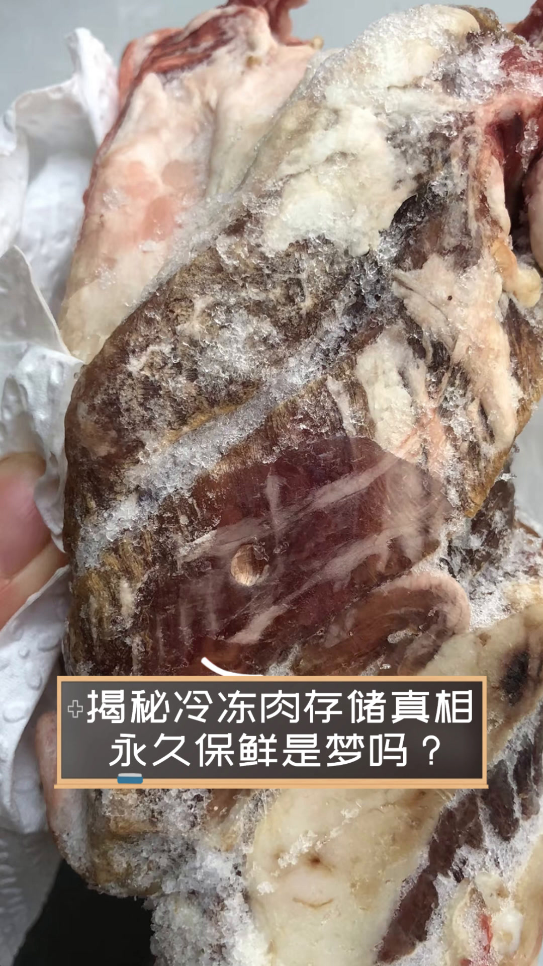 揭秘冷冻肉存储真相,永久保鲜是梦吗?