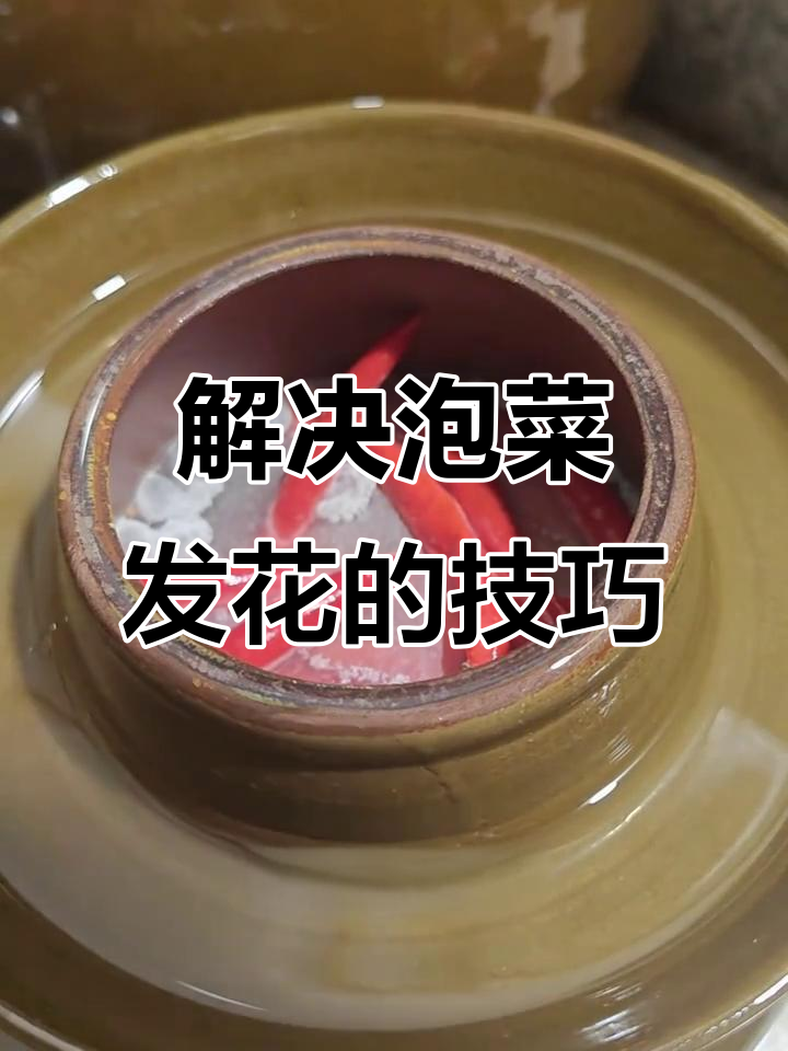 泡菜坛子生花怎么办?这些方法让你轻松解决