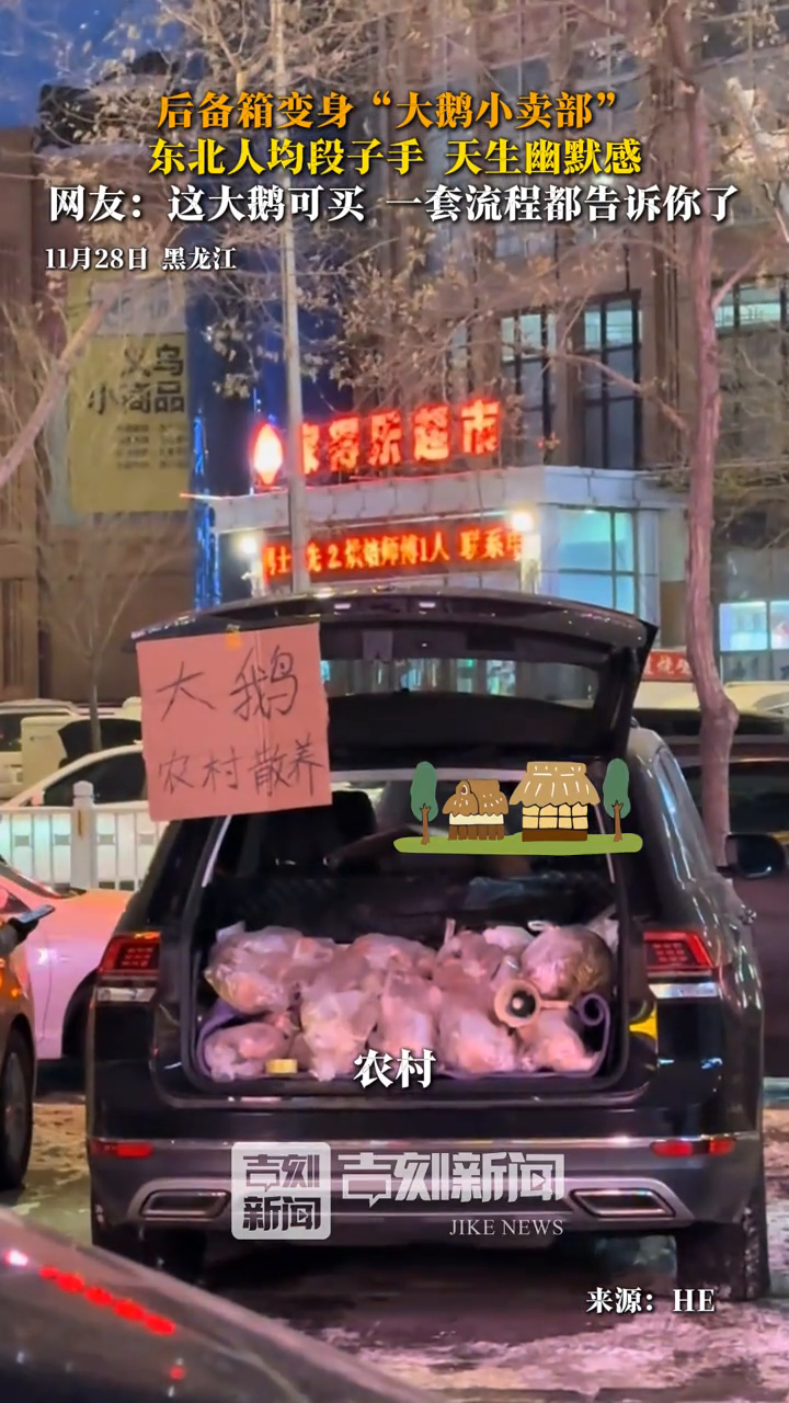 后备箱变身“大鹅小卖部”，东北人均段子手天生幽默感