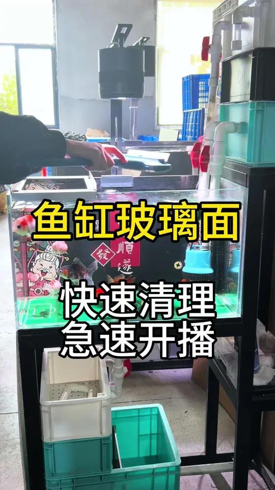 「鱼缸清洁神器!一刷两用」告别毛巾掉毛!这才是擦鱼缸的正确打开方式,这把刷子让擦缸时间减半
