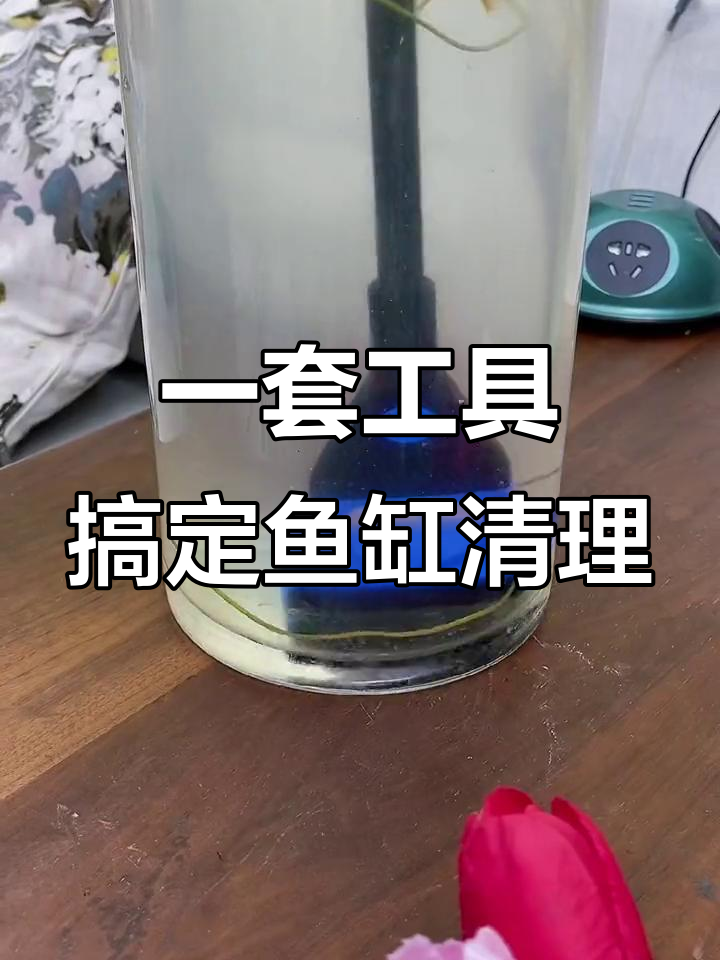 鱼缸清洁不再难，360度旋转刷头让每个角落都干净