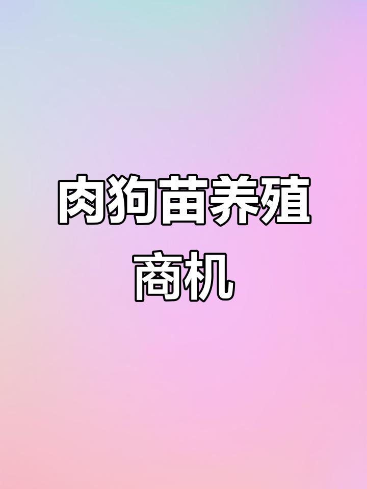 全国各地可养殖肉狗苗,三农创业新机会