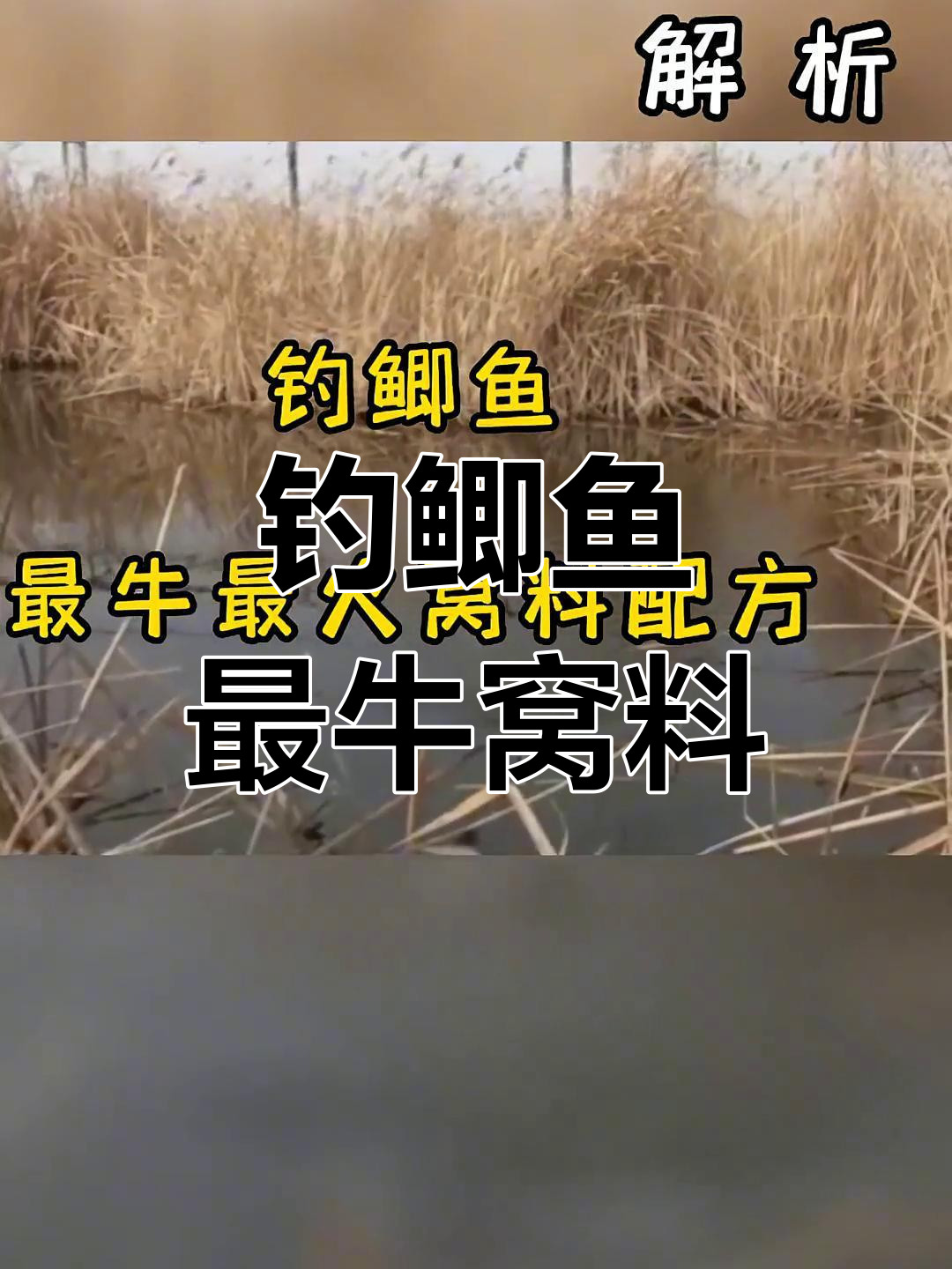 自制鲫鱼窝料配方,轻松爆护