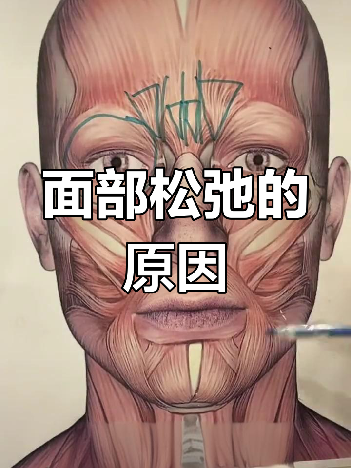 面部肌肉萎缩与衰老的关系