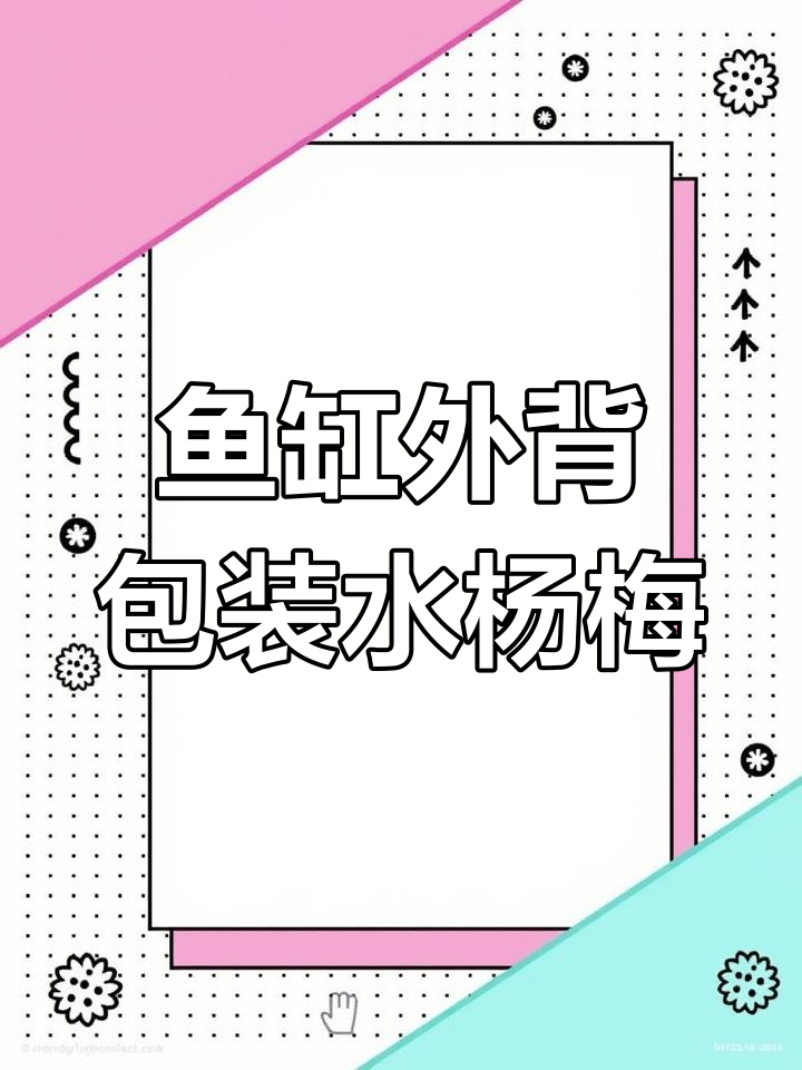 水杨梅养在鱼缸外的背包里,轻松解决跳缸问题