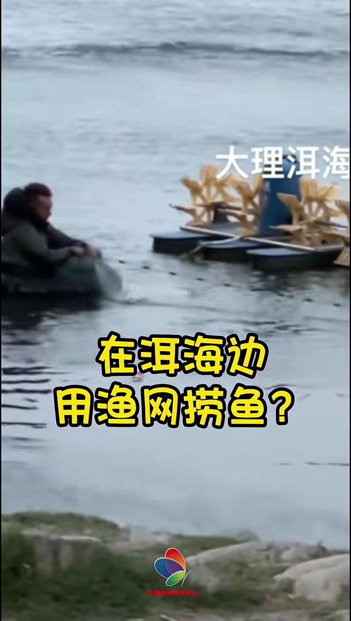 罚款一千!洱海里渔网捞鱼搞不得!大理 违法捕捞 洱海保护
