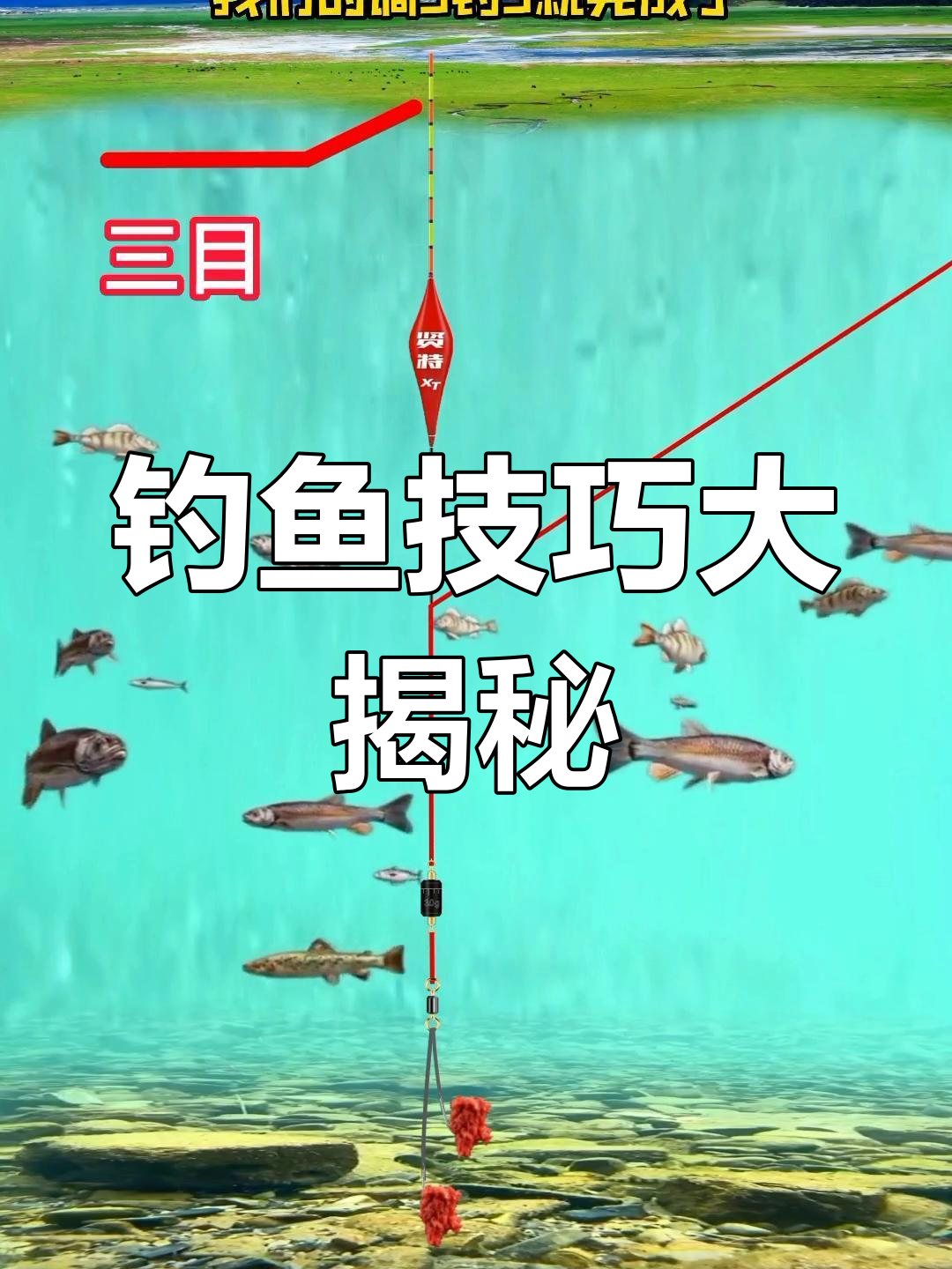 钓鱼总是空手而归？掌握这个技巧，轻松提升渔获！