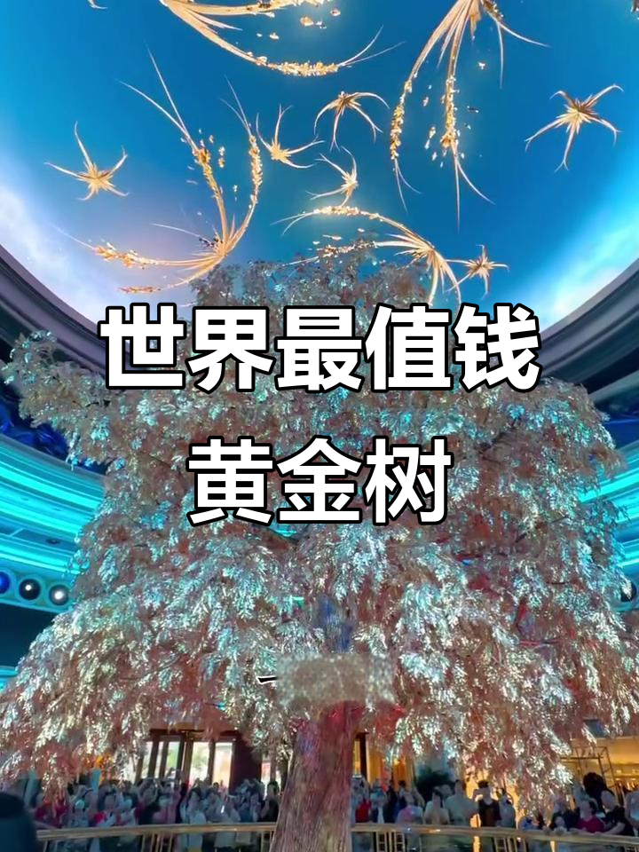 澳门永利酒店黄金发财树,20亿财富等你来拿