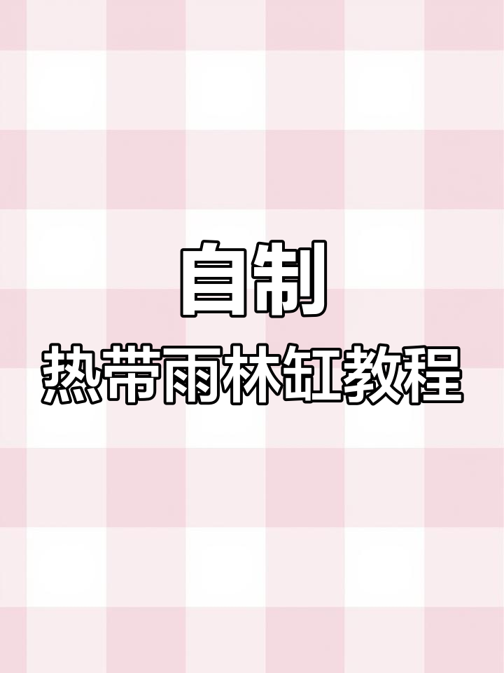 打造热带雨林缸,轻松DIY家居环境