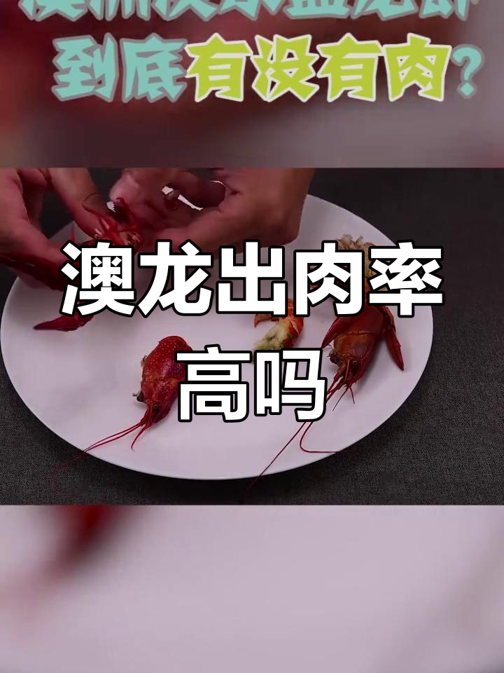 澳洲淡水龙虾比普通小龙虾更值?出肉率实测对比