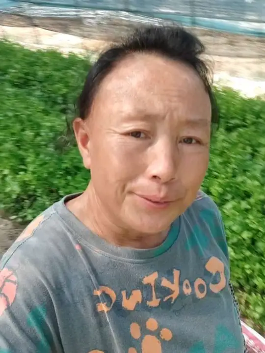 芹菜价格出现下滑趋势