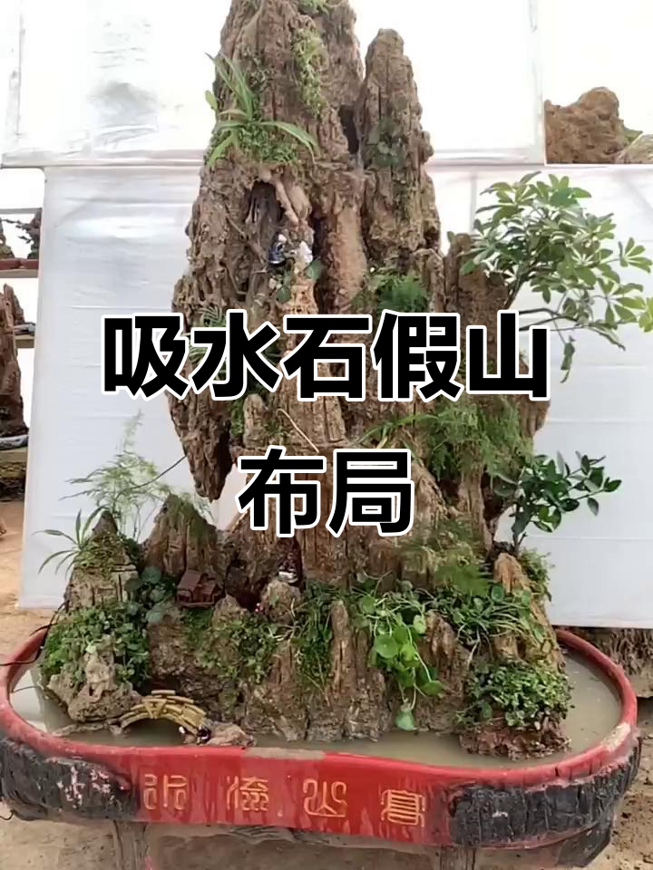 庭院假山鱼池设计技巧,打造风水与美观并存