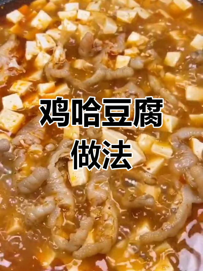 鸡哈豆腐的独特风味,川菜中的经典之作