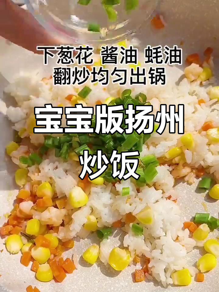 扬州炒饭大揭秘,葱花、虾仁与米饭的完美碰撞