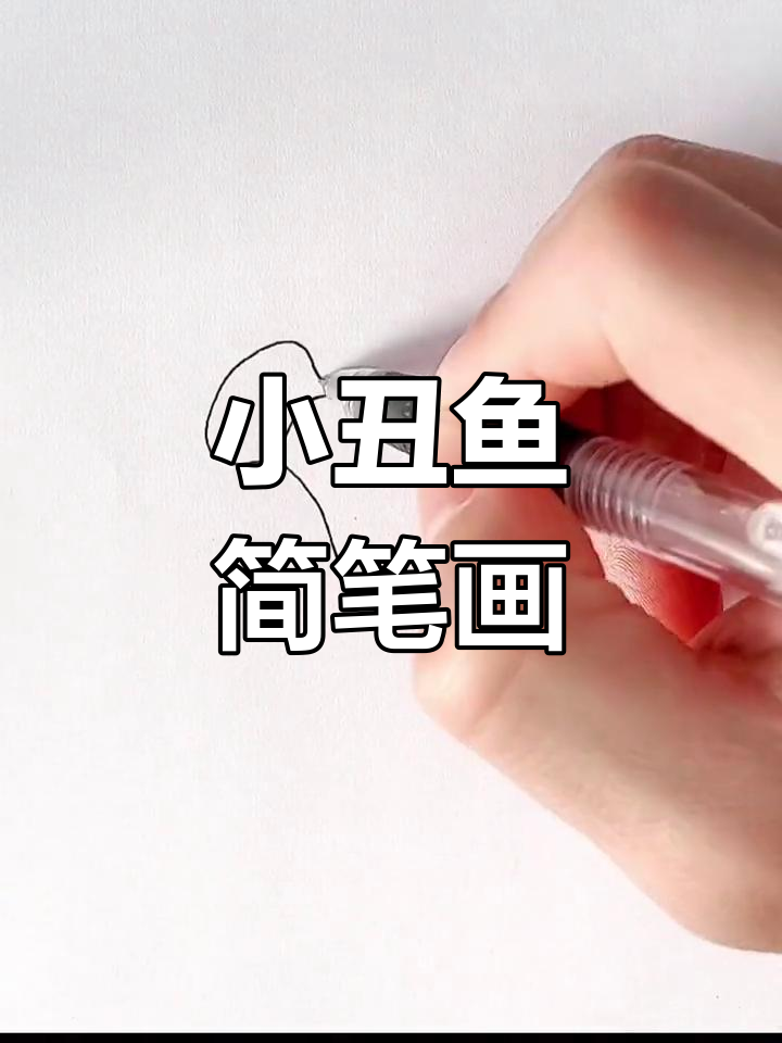 画只小丑鱼尼莫