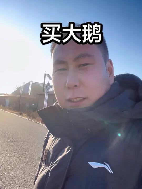 东北黑龙江笨大鹅多少一斤