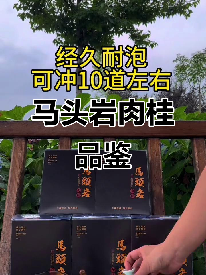 武夷岩茶马头岩肉桂,品质上乘,速来品鉴!