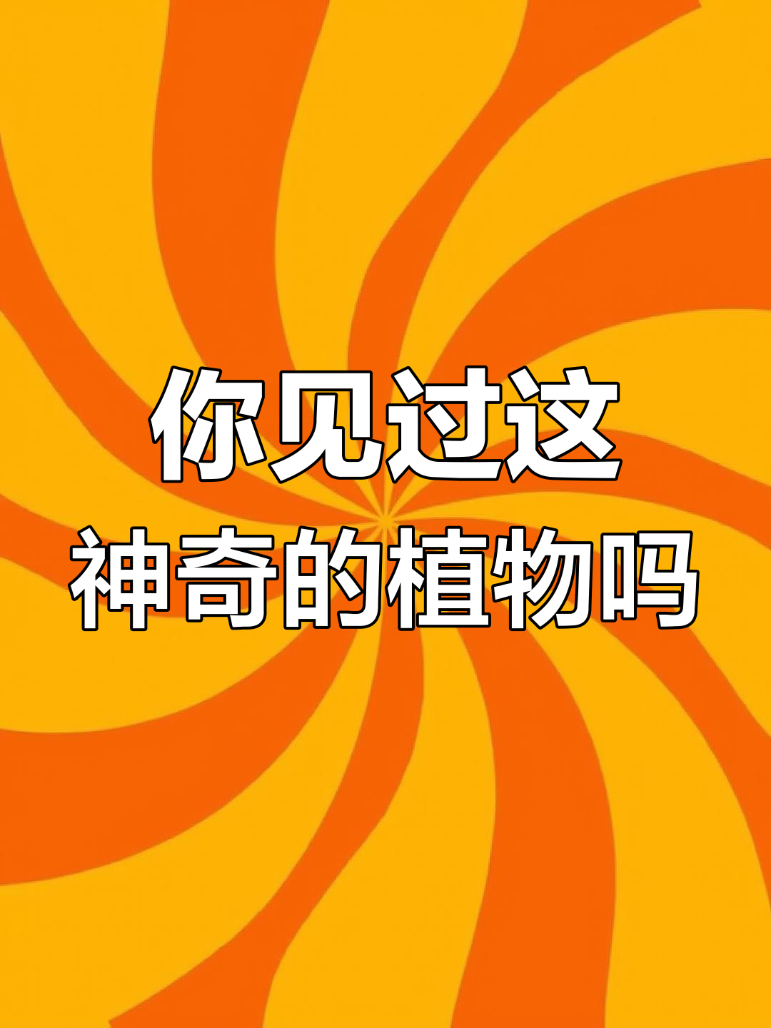 你的家乡有这种神奇植物吗?麻辣加豆腐,凉拌七天变美味