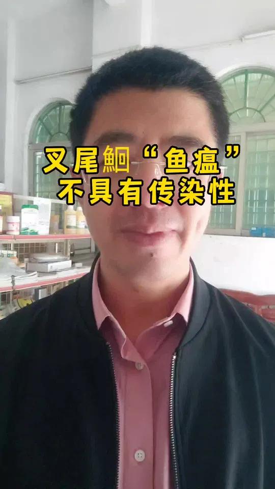 叉尾鮰 鱼瘟 应激性出血病 继发细菌感染 不具有传染性
