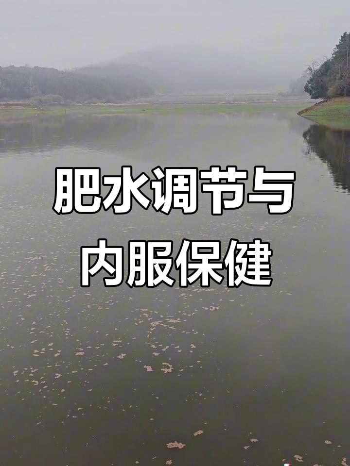 2月水库调水与投喂技巧,助力鱼苗健康成长