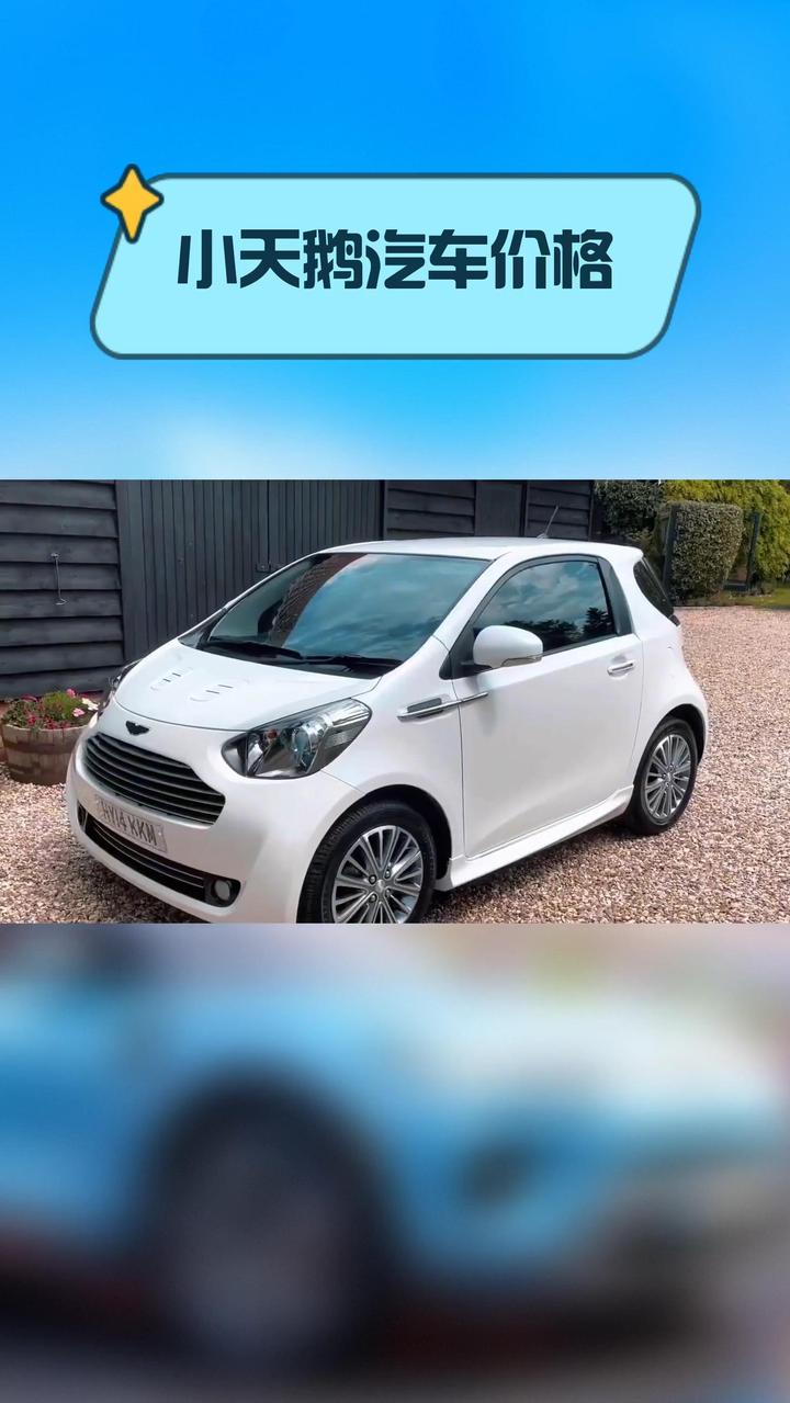 小天鹅汽车价格