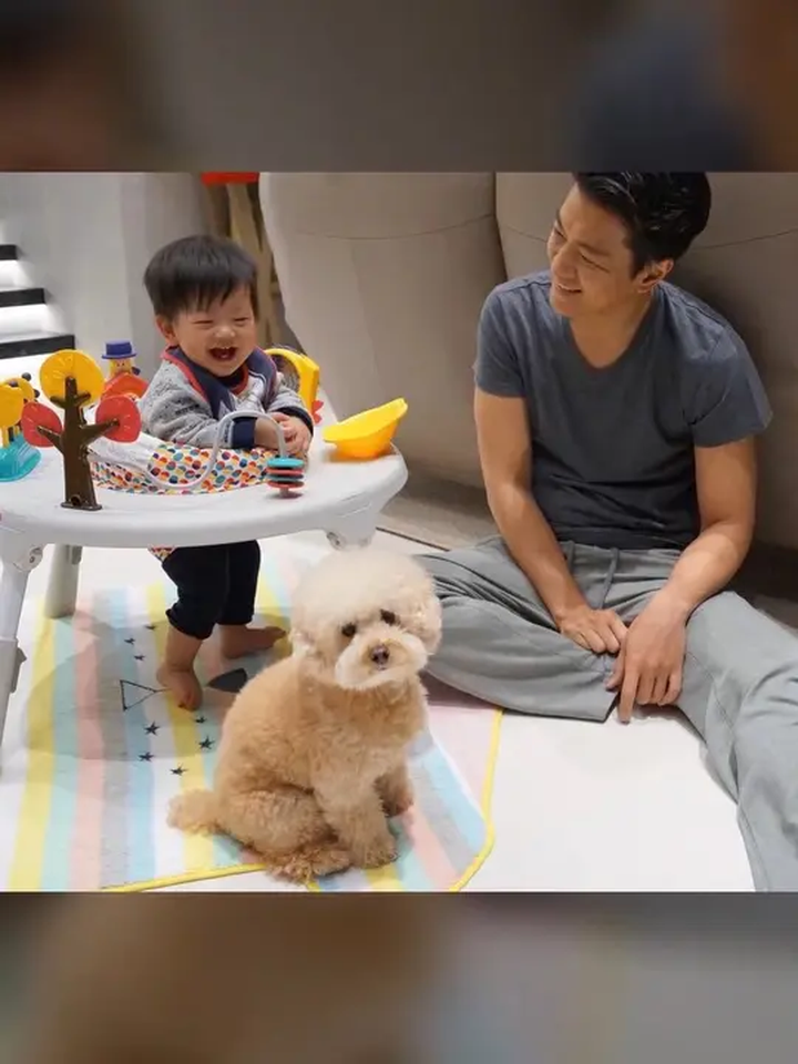 多少人曾爱慕你年轻时的容颜