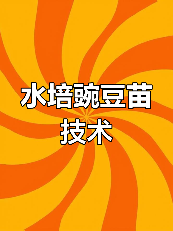 豌豆苗水培技巧,轻松种植无土芽菜