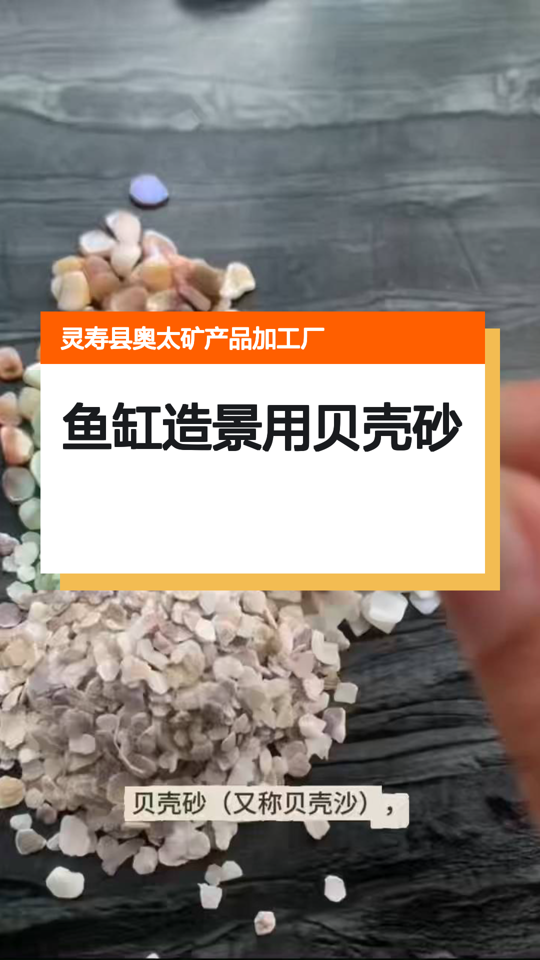 鱼缸造景用贝壳砂