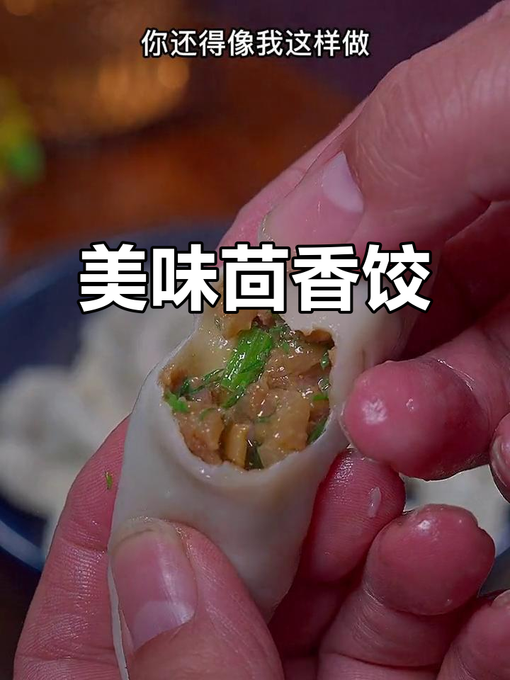 冬至必试茴香猪肉饺子，鲜美多汁，口感绝佳！