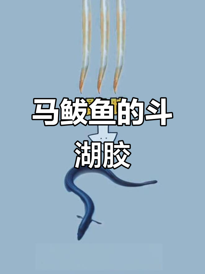 斗湖胶竟是马鲅鱼所产,黄花胶并非来自黄花鱼