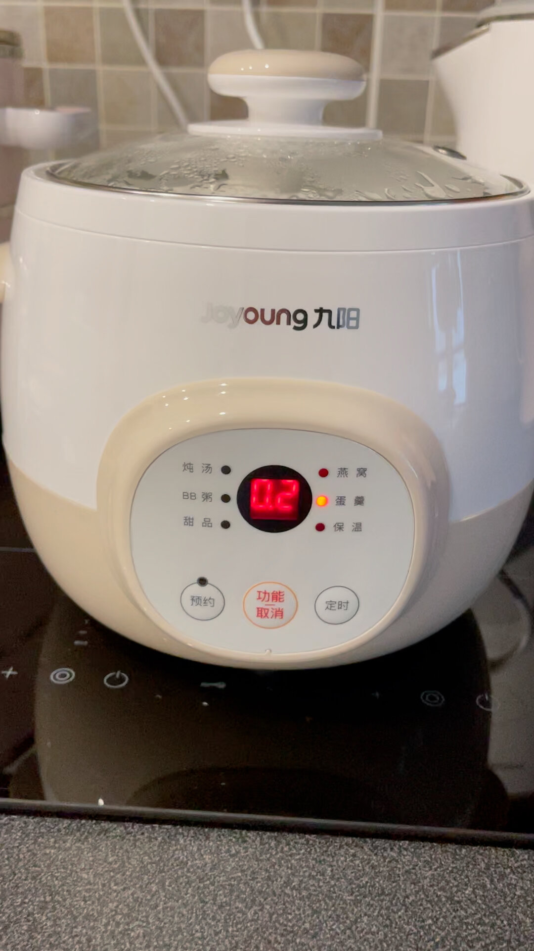 九阳电炖锅陶瓷燕窝炖盅隔水炖