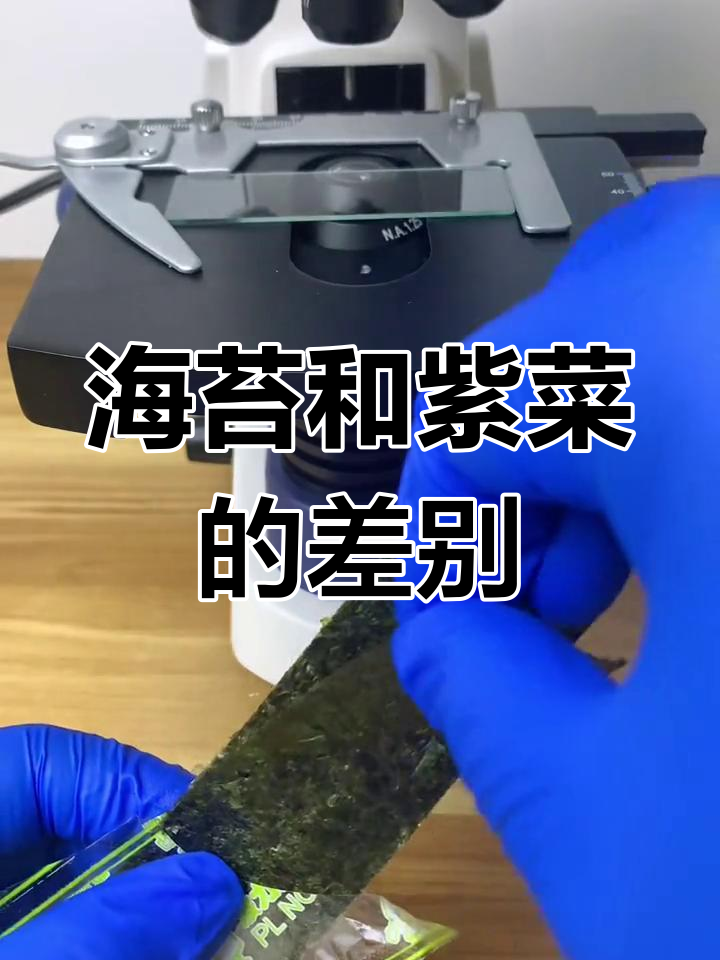 海苔与紫菜的区别揭秘:显微镜下的差异