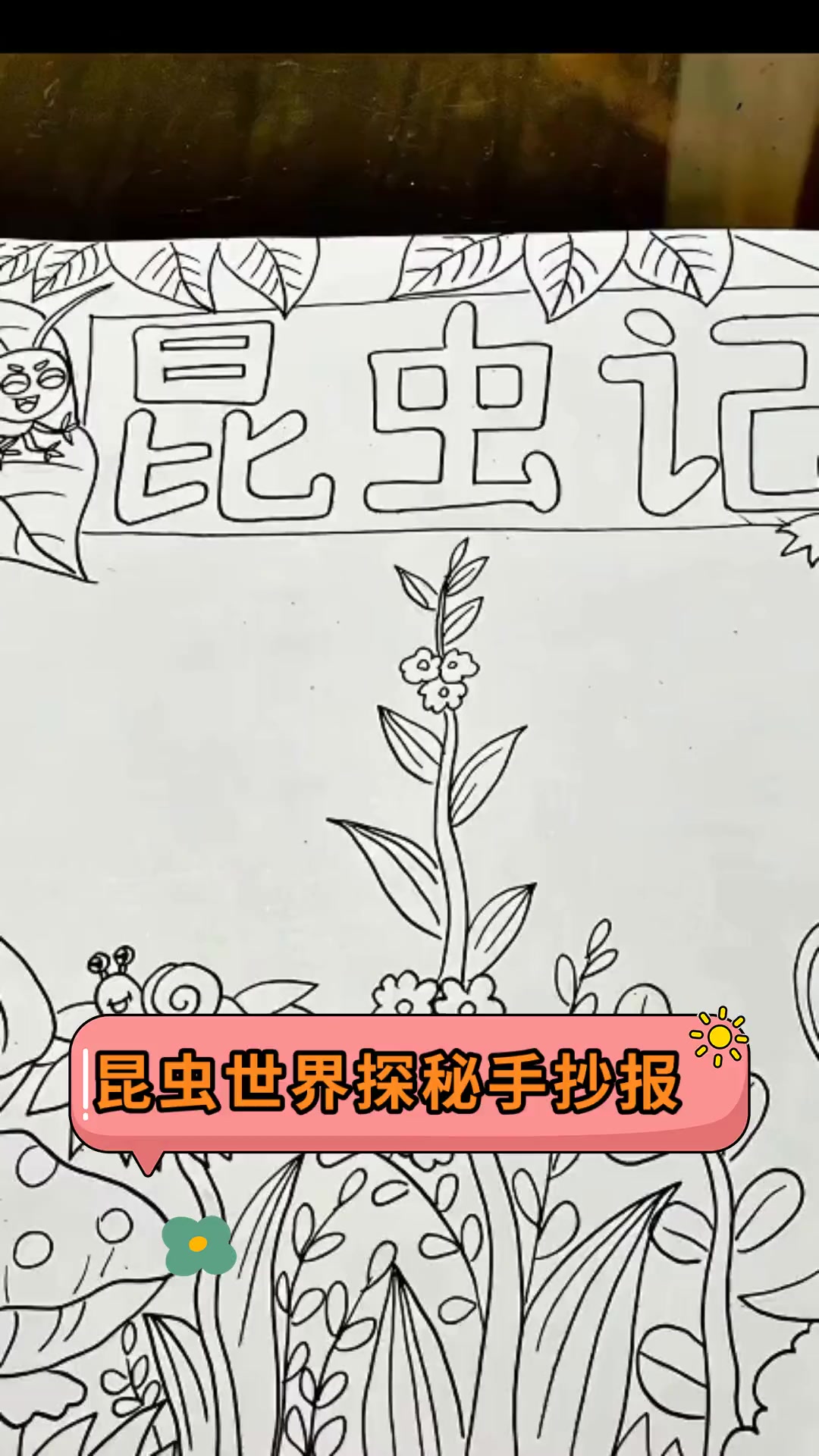 昆虫世界探秘手抄报