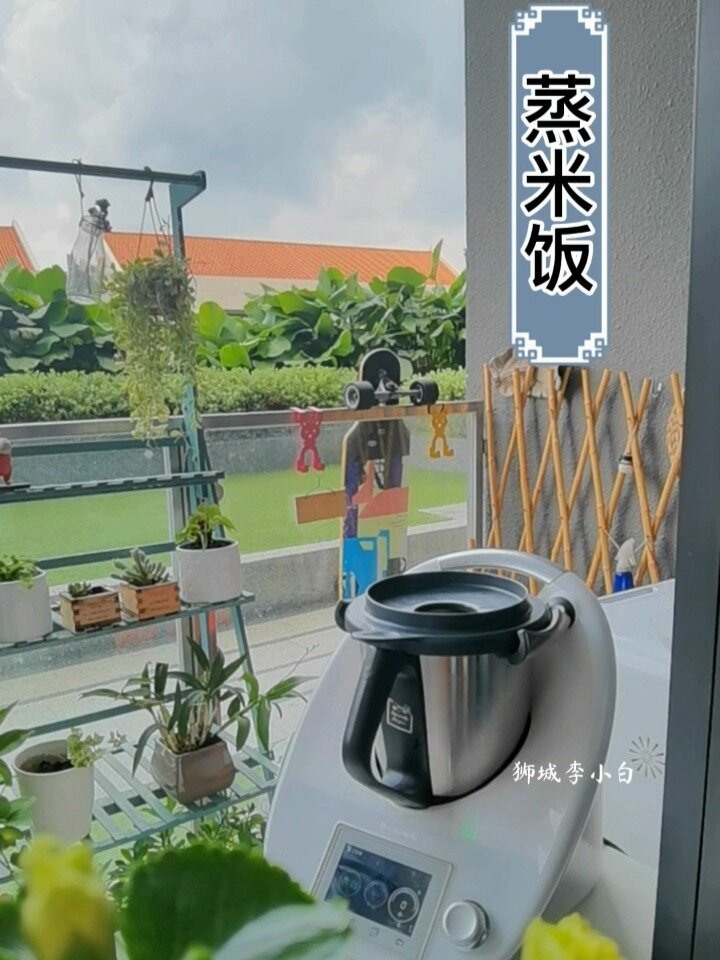 LYM小美蒸米饭美善品米饭(原创)