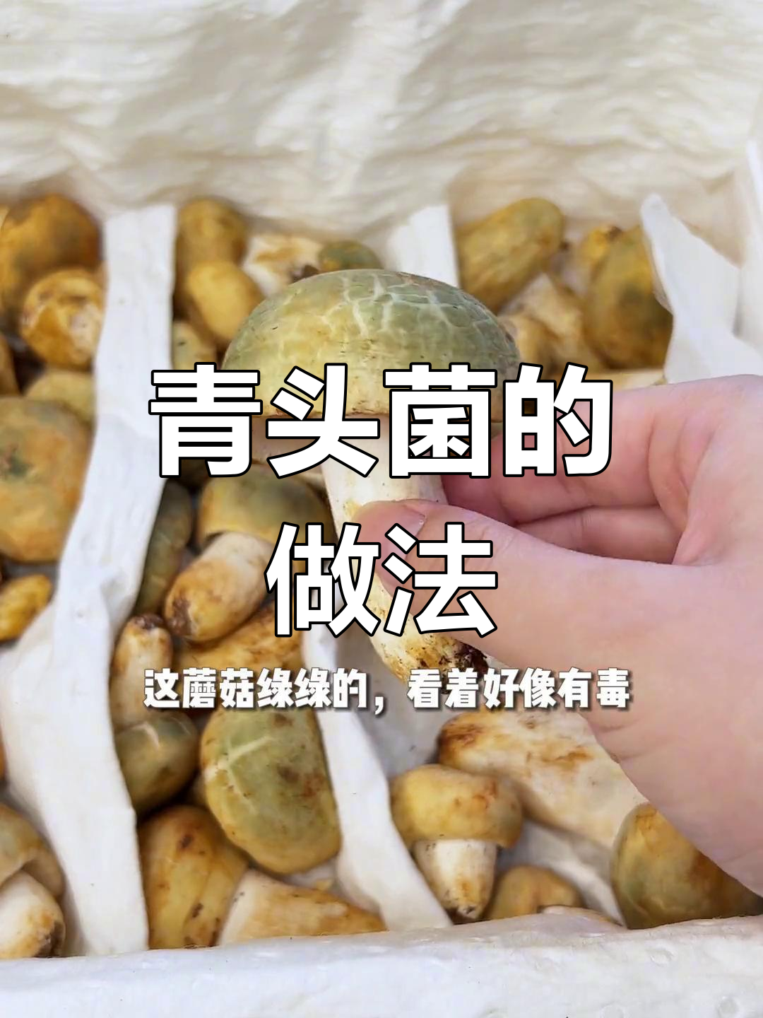 青头菌炒法大揭秘,云南风味十足