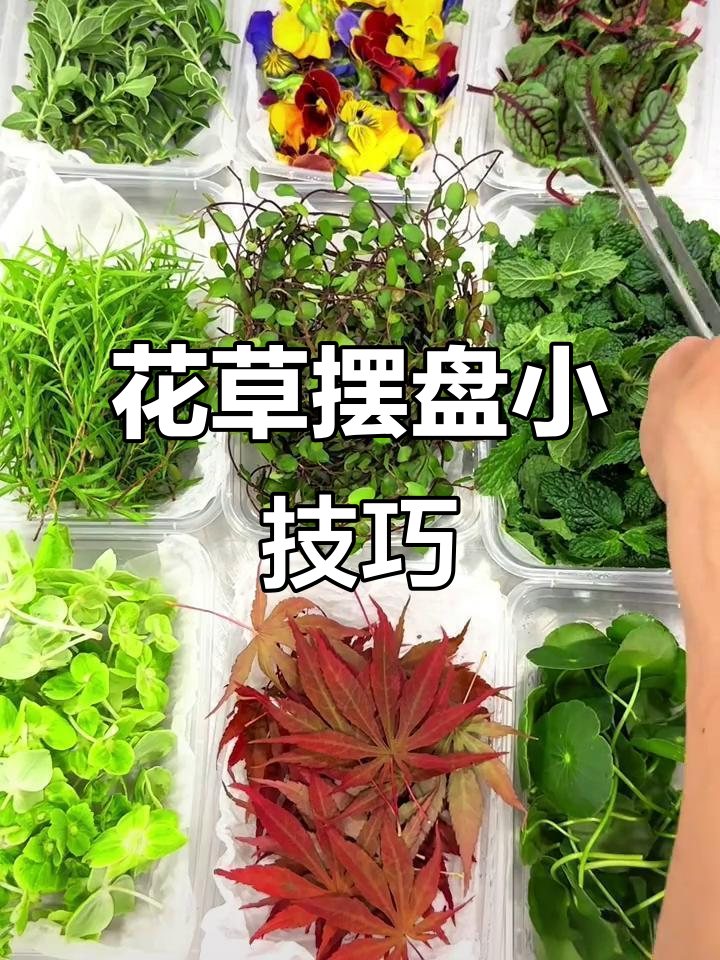 新鲜花草装饰盘饰,简单又美观