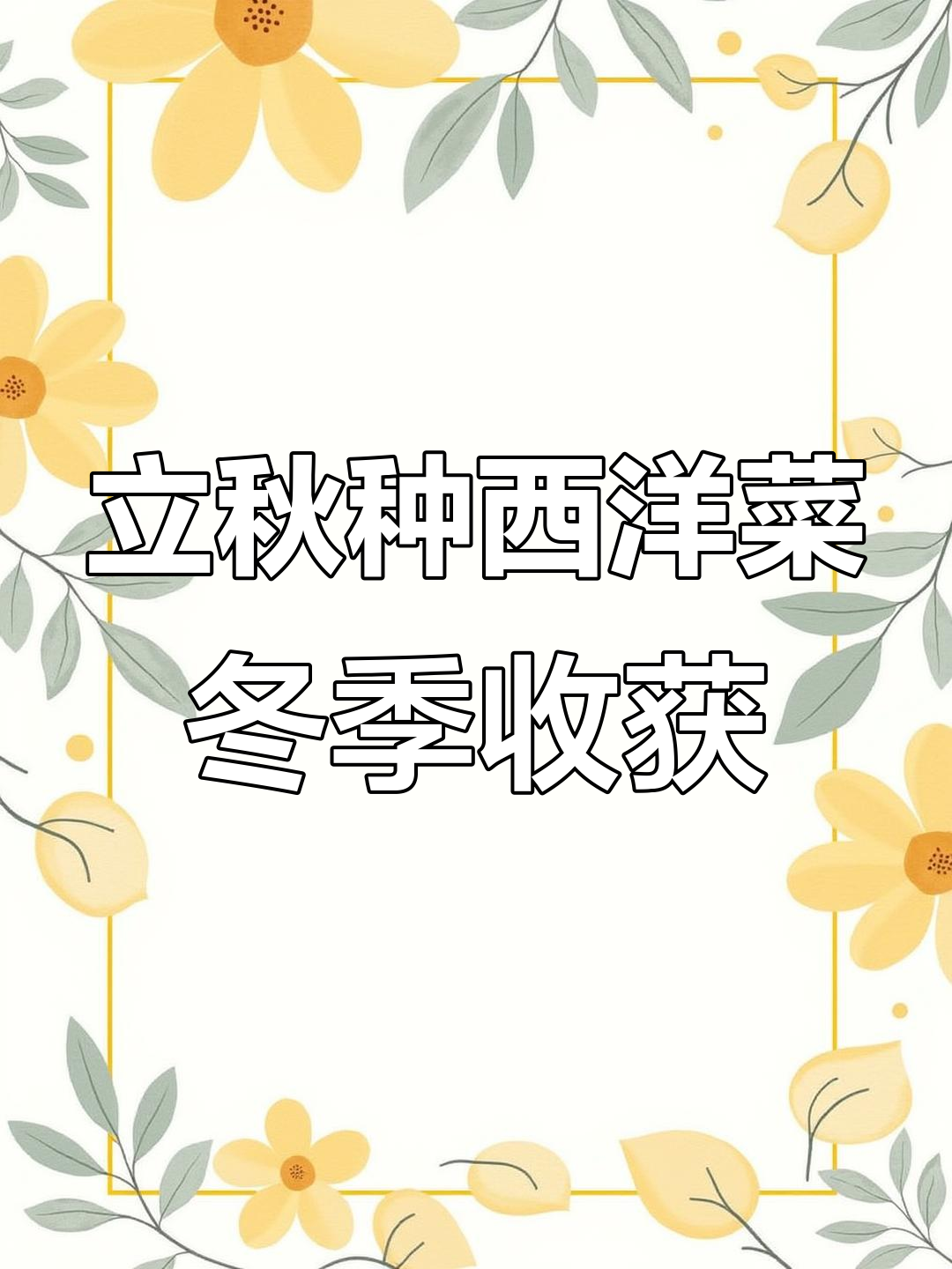 寒冬腊月也能摘西洋菜,简单种植带来满满健康