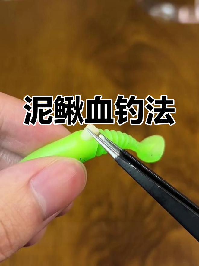 活饵钓鱼技巧:泥鳅血与软饵搭配