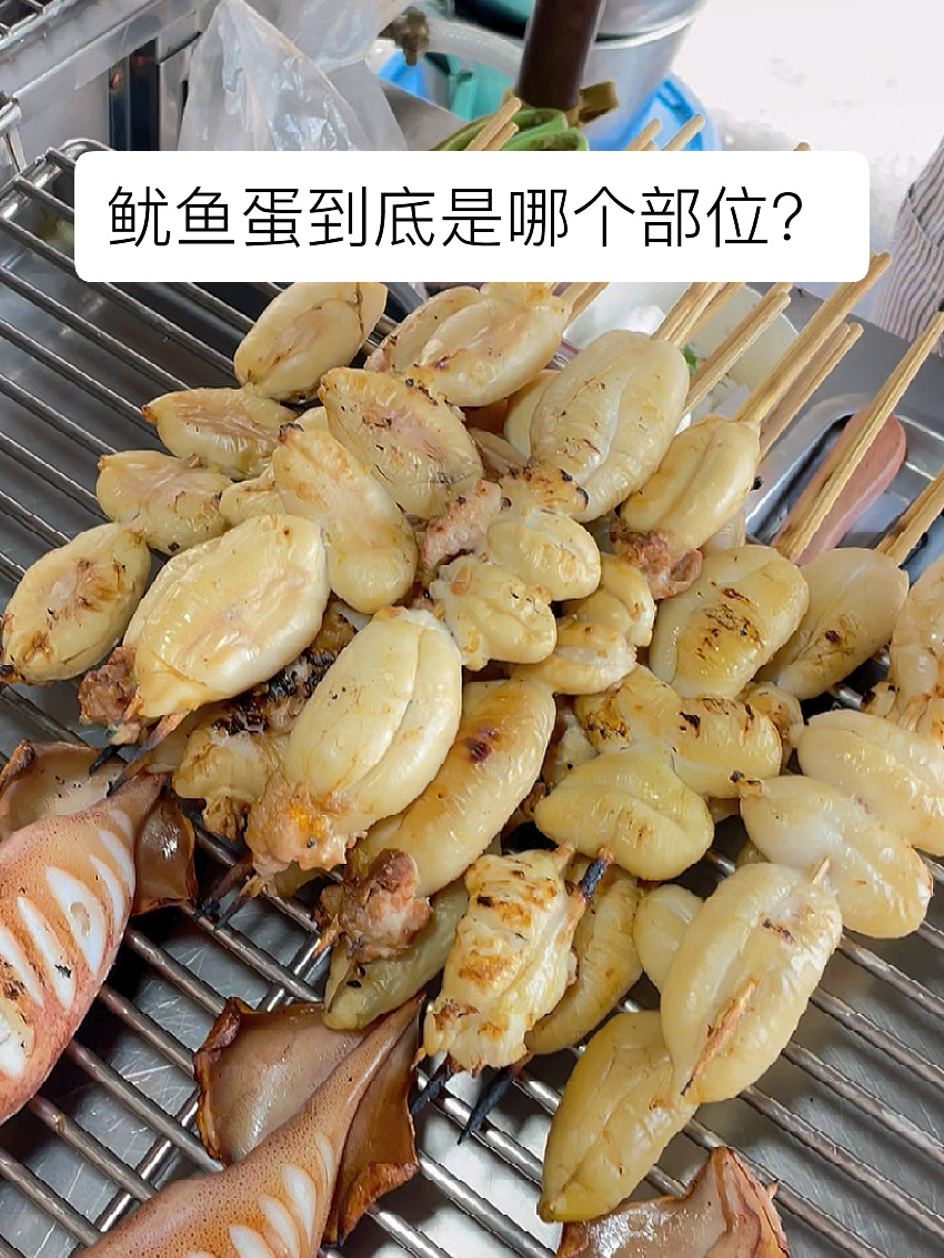 鱿鱼蛋到底是鱿鱼的哪个部位?